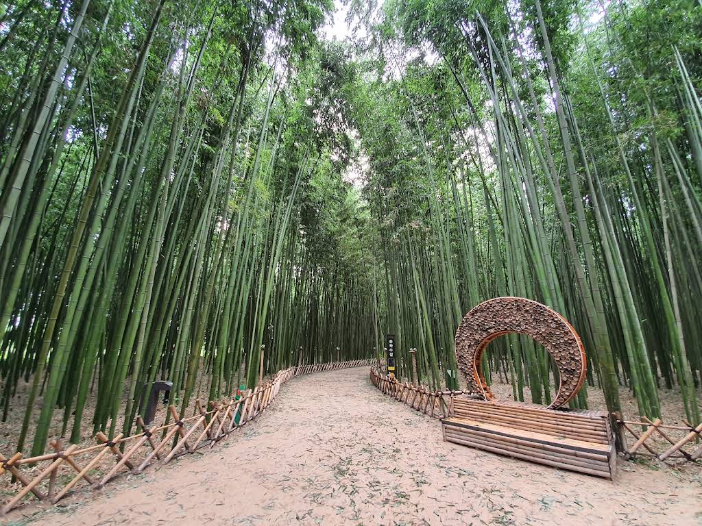 Taehwagang Bamboo Forest (Simni Bamboo Grove)